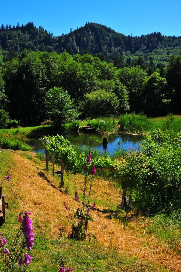 Skamokawa Lucky Mud Inn And Disc Golf Resort מראה חיצוני תמונה